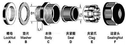 彩图宝库宝典